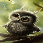 Cute Small Owl LWP иконка