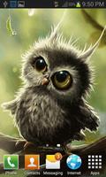 Cute Small Owl LWP Ekran Görüntüsü 1