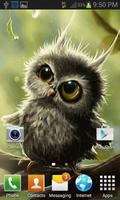 Cute Small Owl LWP скриншот 2