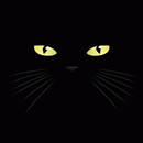 Dark Cat Lick LWP APK