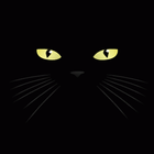 Dark Cat Lick LWP icône