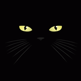 Dark Cat Lick LWP أيقونة