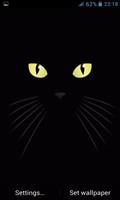 Dark Cat Lick LWP Affiche