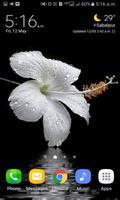 1 Schermata Dewy Flower Live Wallpaper