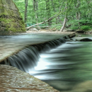 Forest Water Live Wallpaper APK