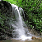 Forest Waterfall Live Wallpaper icône