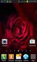 Flare Pink Rose LWP Screenshot 1