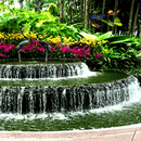 Garden Butterfly Live Wallpape APK
