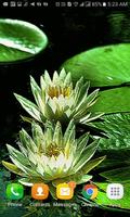 2 Schermata Green Lotus Live Wallpaper