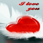Heart On Wings LWP icon