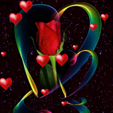 Hearts Red Rose LWP icon