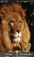Lion With Child LWP poster