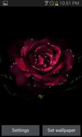 Light Rose Blooming LWP poster