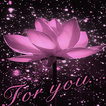 Lotus For You LWP