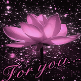 Lotus For You LWP icon