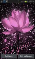 Lotus For You LWP poster