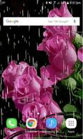 Lovely Rainy Roses LWP Poster