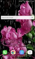 Lovely Rainy Roses LWP captura de pantalla 1