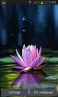 Magical Lotus Live Wallpaper syot layar 2