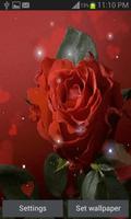Magical Red Rose LWP poster