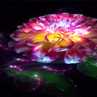 Magic Flower Light LWP icon