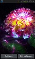 Magic Flower Light LWP الملصق