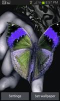 Multicolor Butterfly LWP poster