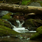 Nature Water Scene LWP ícone