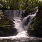 Nature Forest Waterfall LWP icon