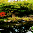 Nature Park Water LWP APK