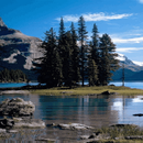 Nature River Live Wallpaper APK