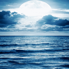 Ocean Sunset Live Wallpaper أيقونة