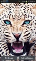 Panther Roaring LWP poster