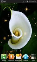 Pretty  White Flower LWP โปสเตอร์
