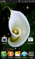 Pretty  White Flower LWP ภาพหน้าจอ 1