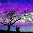 Purple Love Rain LWP APK