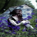 APK Rainy Emotions LWP