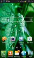 Rainy Leaf Live Wallpaper โปสเตอร์