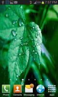 Rainy Leaf Live Wallpaper 截圖 1