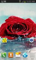 Rainy Red Rose LWP imagem de tela 2