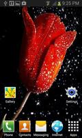 Red Tulip Shine LWP स्क्रीनशॉट 2