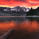 Reddish Water Live Wallpaper APK