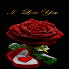 Red Heart Rose LWP icono