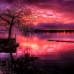 Redish Evening Lake LWP