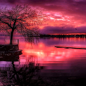 Redish Evening Lake LWP ikona