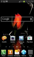 Red Rose In Water LWP screenshot 1