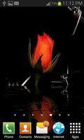 Red Rose In Water LWP screenshot 2