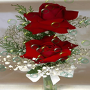Red Roses Bubble LWP APK