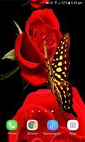 Red Roses Butterfly LWP imagem de tela 2