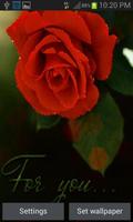 Rose For You LWP постер